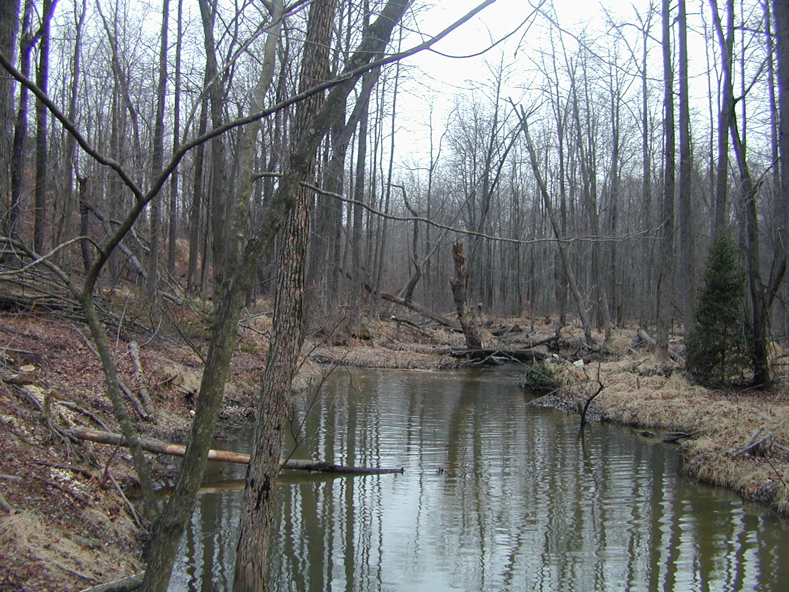 Field photo showing stream conditions at site NEAS-107-R-2001-1