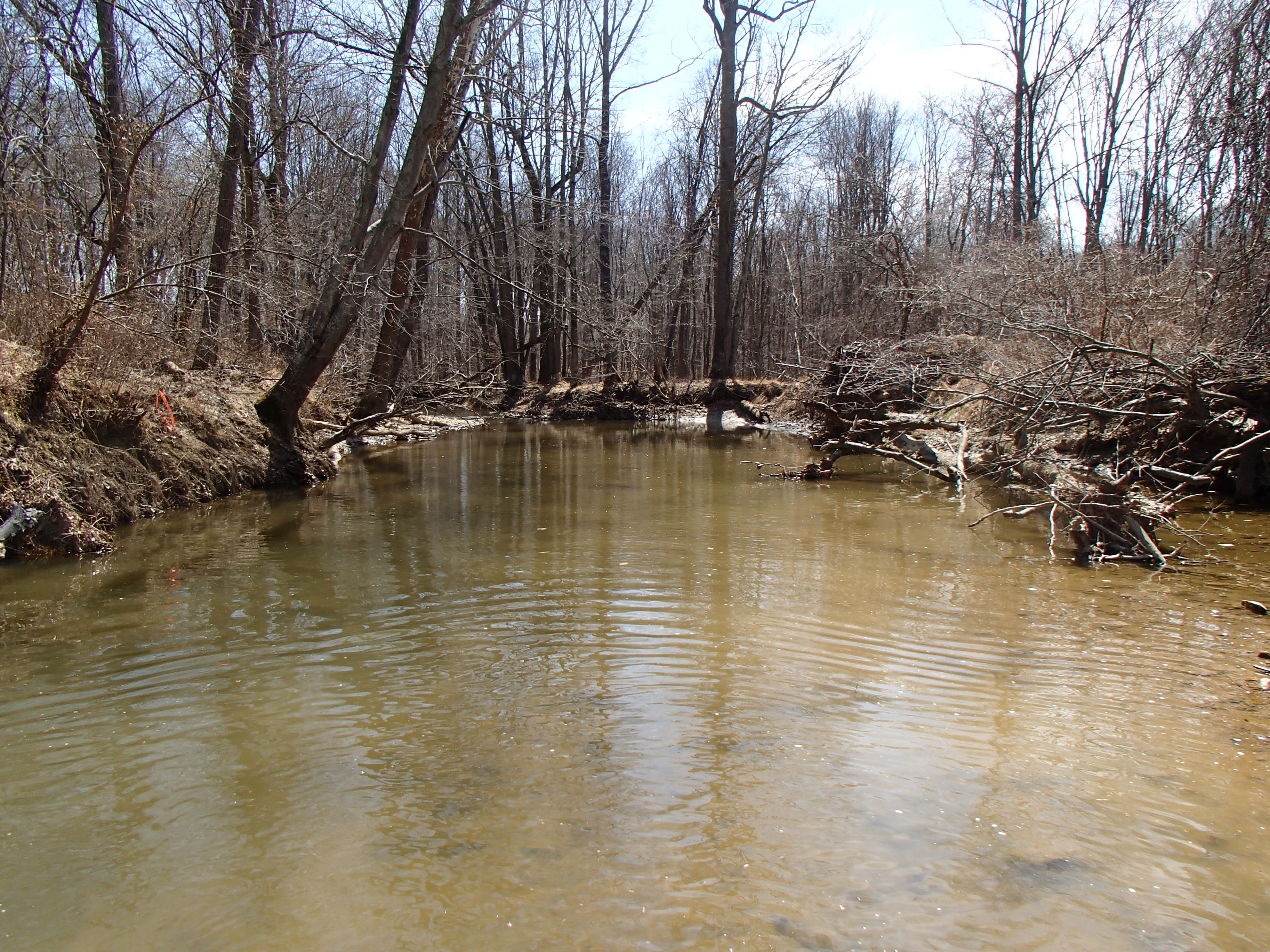 Field photo showing stream conditions at site NEAS-109-R-2015_Midpoint-looking-downstream