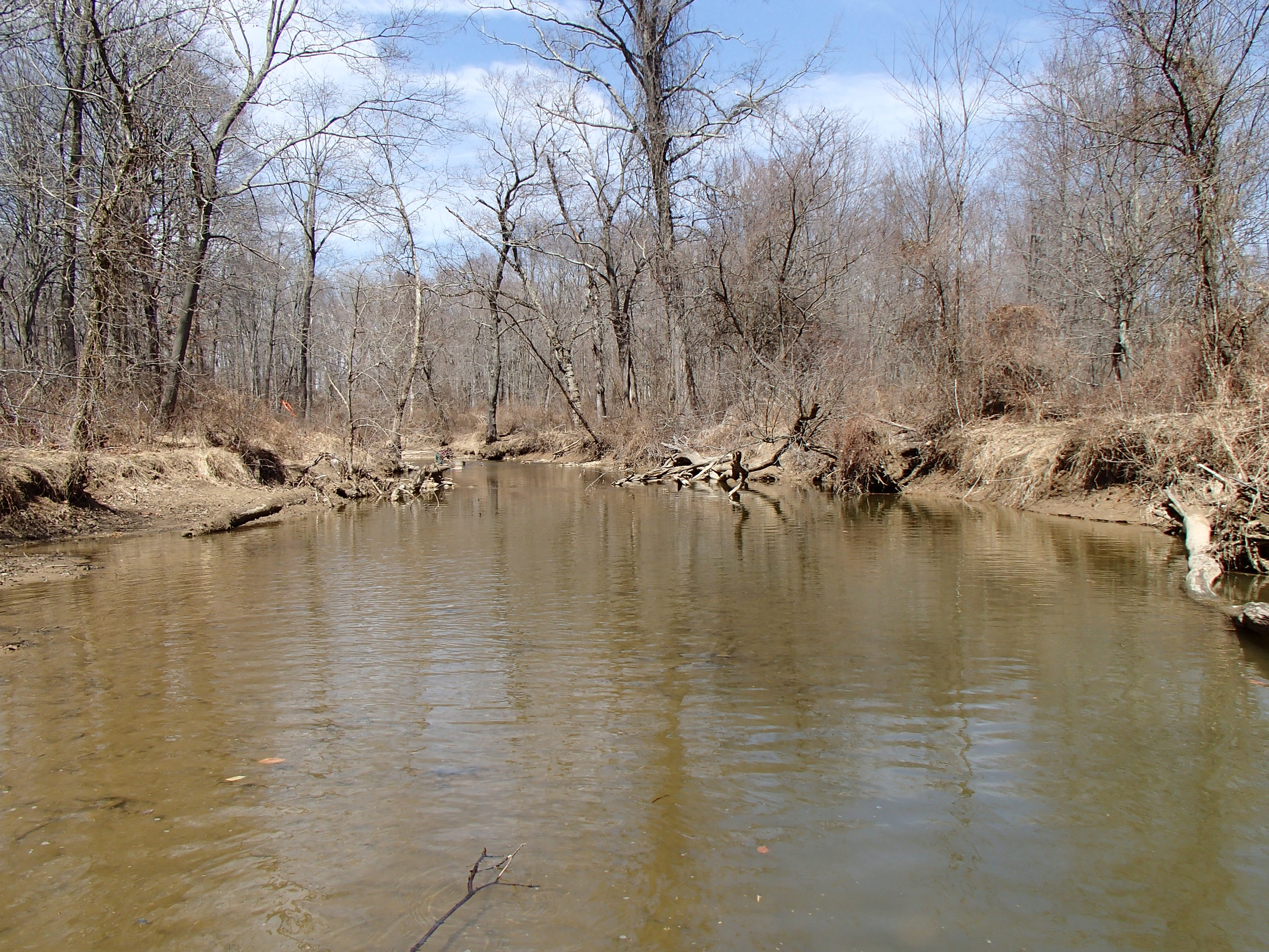 Field photo showing stream conditions at site NEAS-109-R-2015_Midpoint-looking-upstream