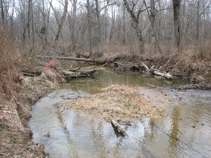 Field photo showing stream conditions at site NEAS-110-R-2008-2