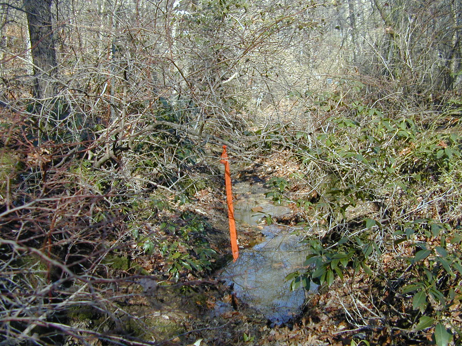 Field photo showing stream conditions at site NEAS-115-R-2001-2