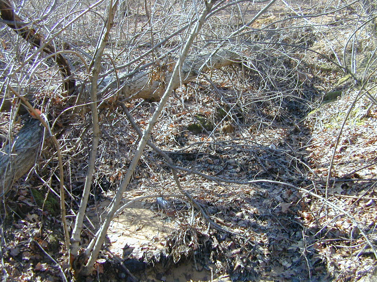 Field photo showing stream conditions at site NEAS-115-R-2001-3