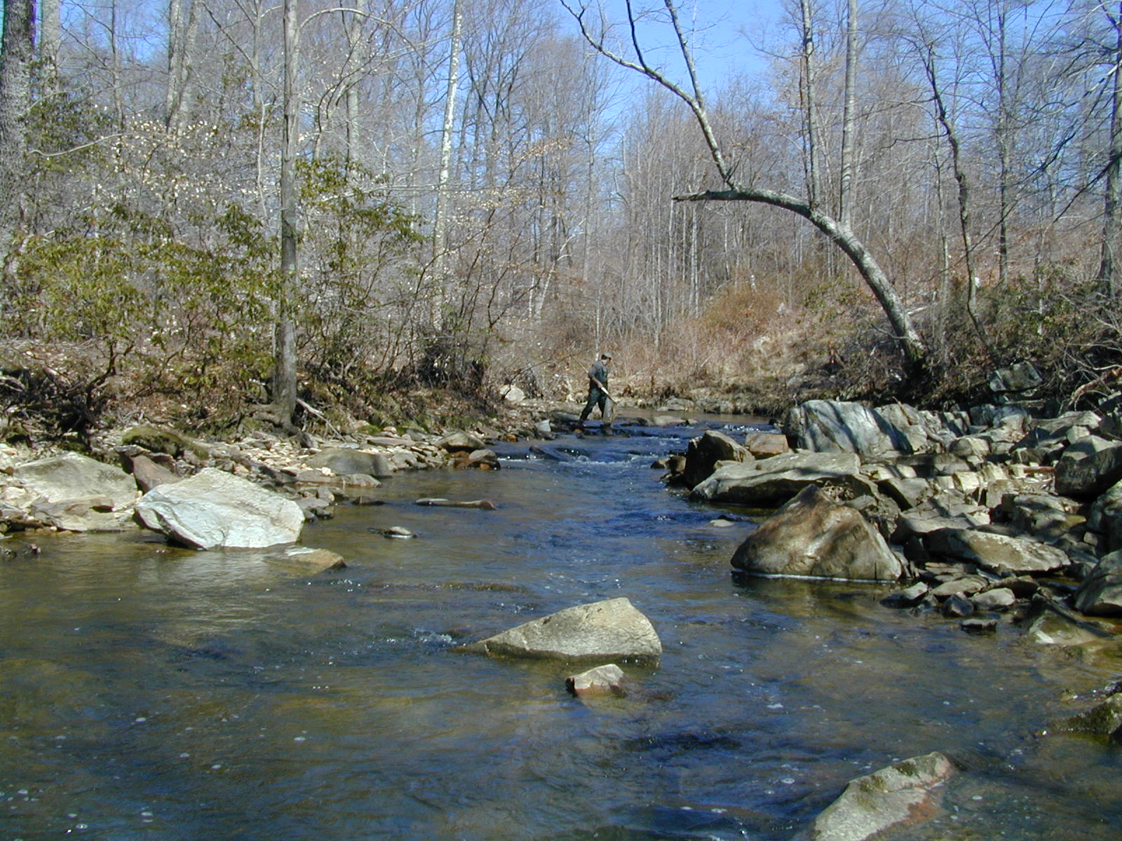 Field photo showing stream conditions at site NEAS-201-R-2001-1