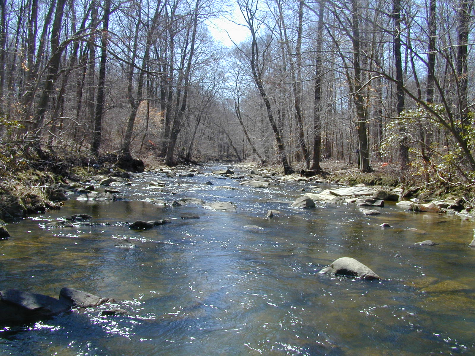 Field photo showing stream conditions at site NEAS-201-R-2001-2