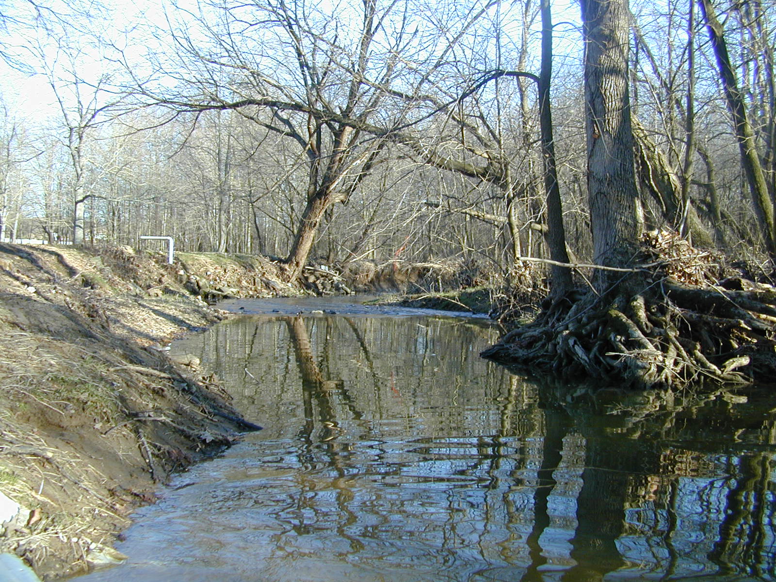 Field photo showing stream conditions at site NEAS-202-R-2001-1