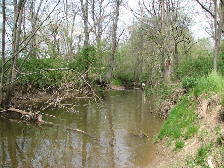 Field photo showing stream conditions at site NEAS-203-B-2007-2