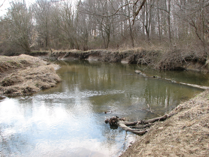 Field photo showing stream conditions at site NEAS-305-A-2008-1