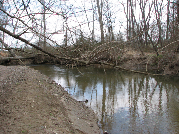 Field photo showing stream conditions at site NEAS-305-A-2008-2