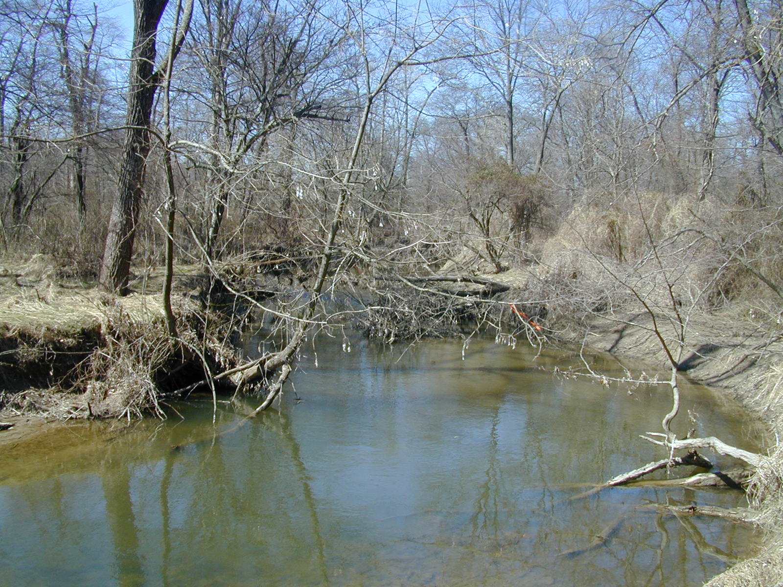 Field photo showing stream conditions at site NEAS-312-R-2001-1
