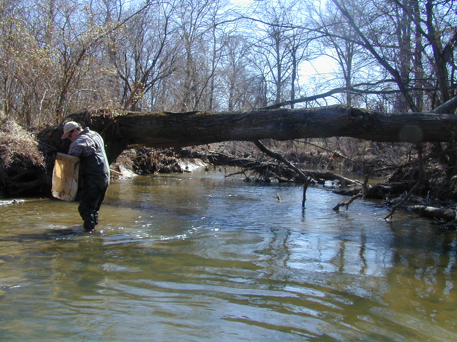 Field photo showing stream conditions at site NEAS-312-R-2001-2