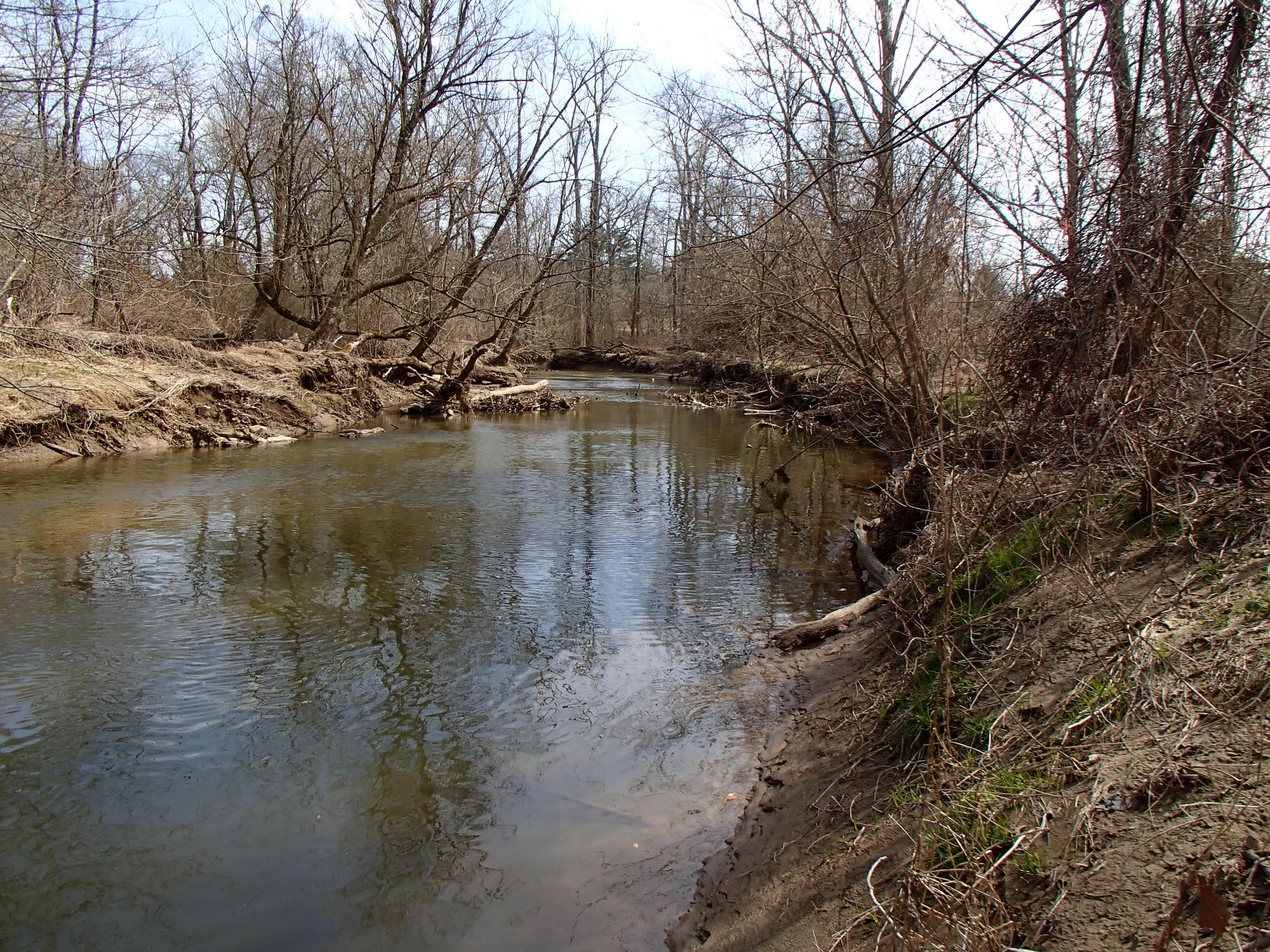Field photo showing stream conditions at site NEAS-312-R-2015_Midpoint-looking-downstream