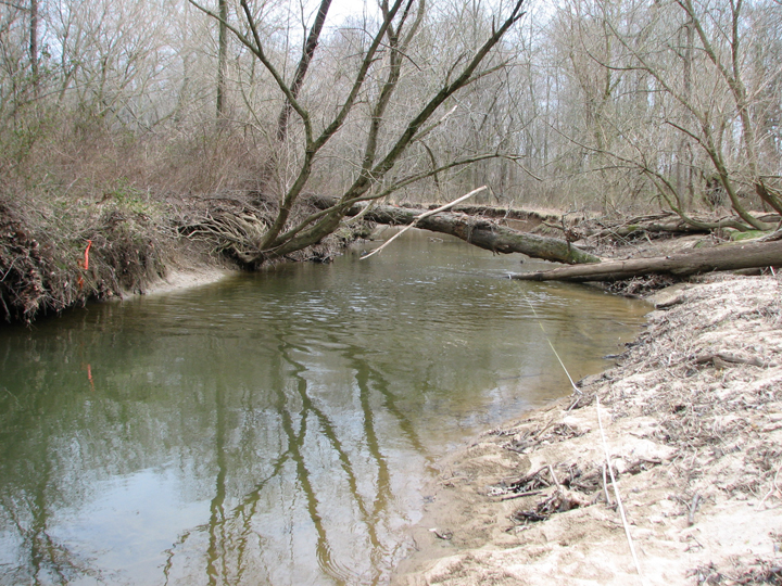 Field photo showing stream conditions at site NEAS-315-R-2008-1