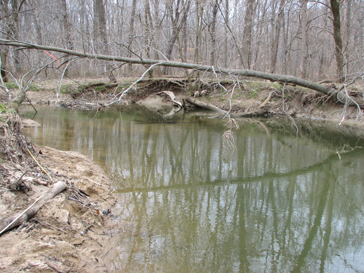 Field photo showing stream conditions at site NEAS-315-R-2008-2