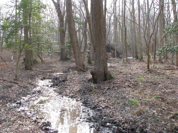 Field photo showing stream conditions at site NEWP-103-R-2009-2
