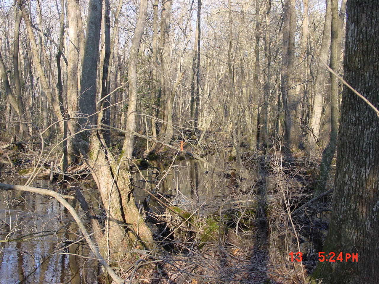 Field photo showing stream conditions at site NEWP-110-R-2001-1