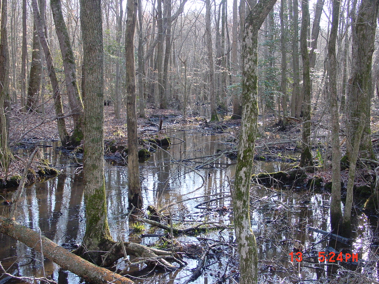 Field photo showing stream conditions at site NEWP-110-R-2001-2