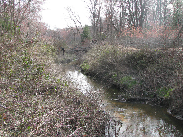 Field photo showing stream conditions at site NEWP-111-B-2009-1
