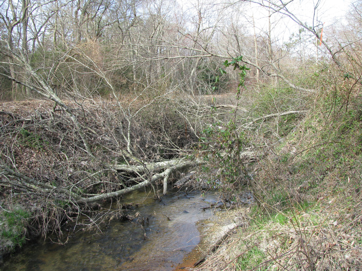 Field photo showing stream conditions at site NEWP-111-B-2009-2