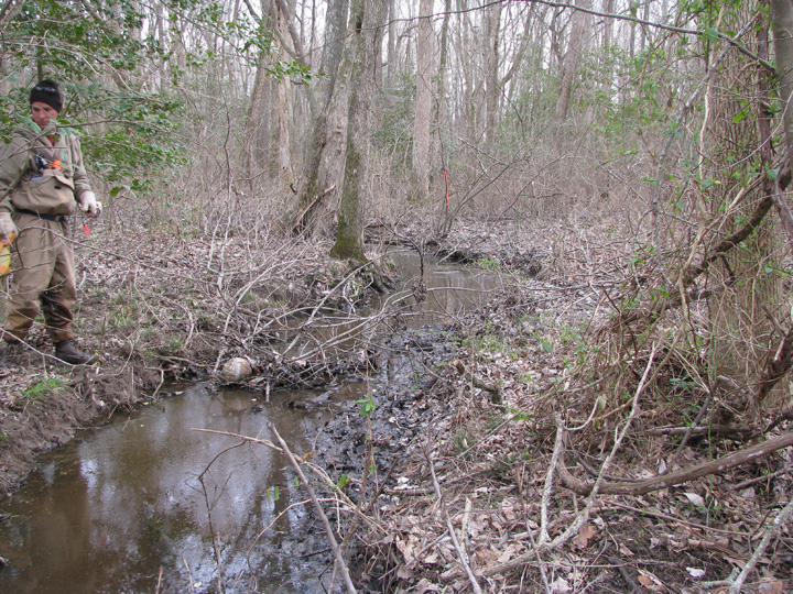 Field photo showing stream conditions at site NEWP-111-R-2009-1