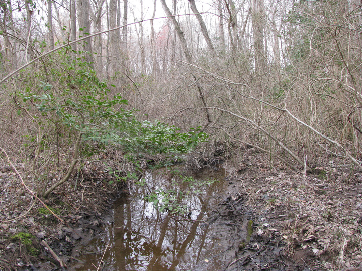 Field photo showing stream conditions at site NEWP-111-R-2009-2