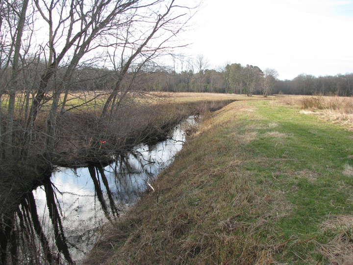 Field photo showing stream conditions at site NEWP-112-B-2009-1