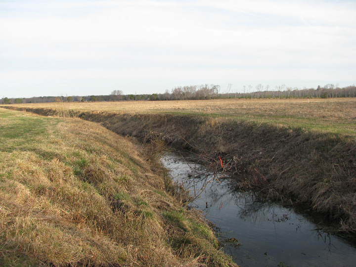 Field photo showing stream conditions at site NEWP-112-B-2009-2