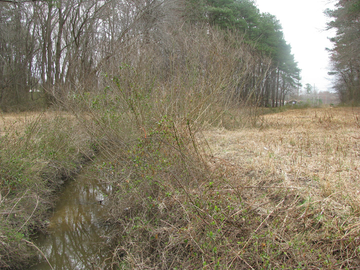 Field photo showing stream conditions at site NEWP-115-B-2009-1