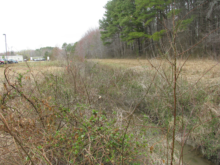 Field photo showing stream conditions at site NEWP-115-B-2009-2