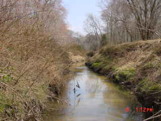 Field photo showing stream conditions at site NEWP-116-R-2001-1