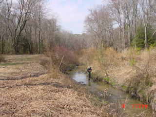 Field photo showing stream conditions at site NEWP-116-R-2001-2