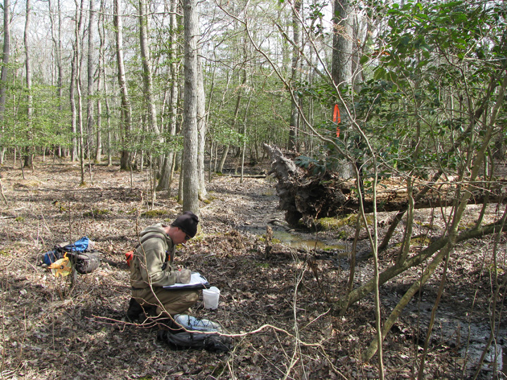 Field photo showing stream conditions at site NEWP-125-B-2009-1