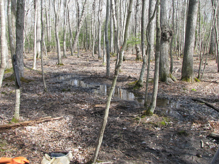 Field photo showing stream conditions at site NEWP-128-B-2009-1
