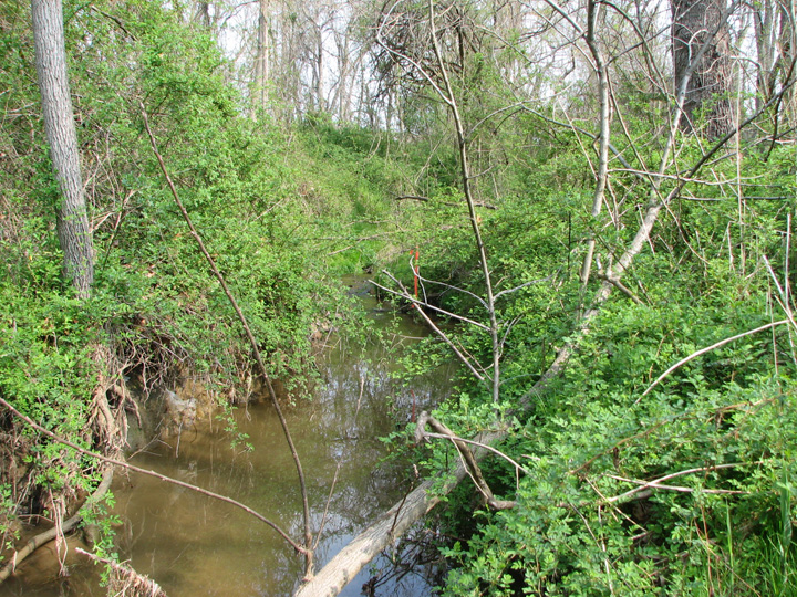 Field photo showing stream conditions at site OCTO-101-B-2007-2