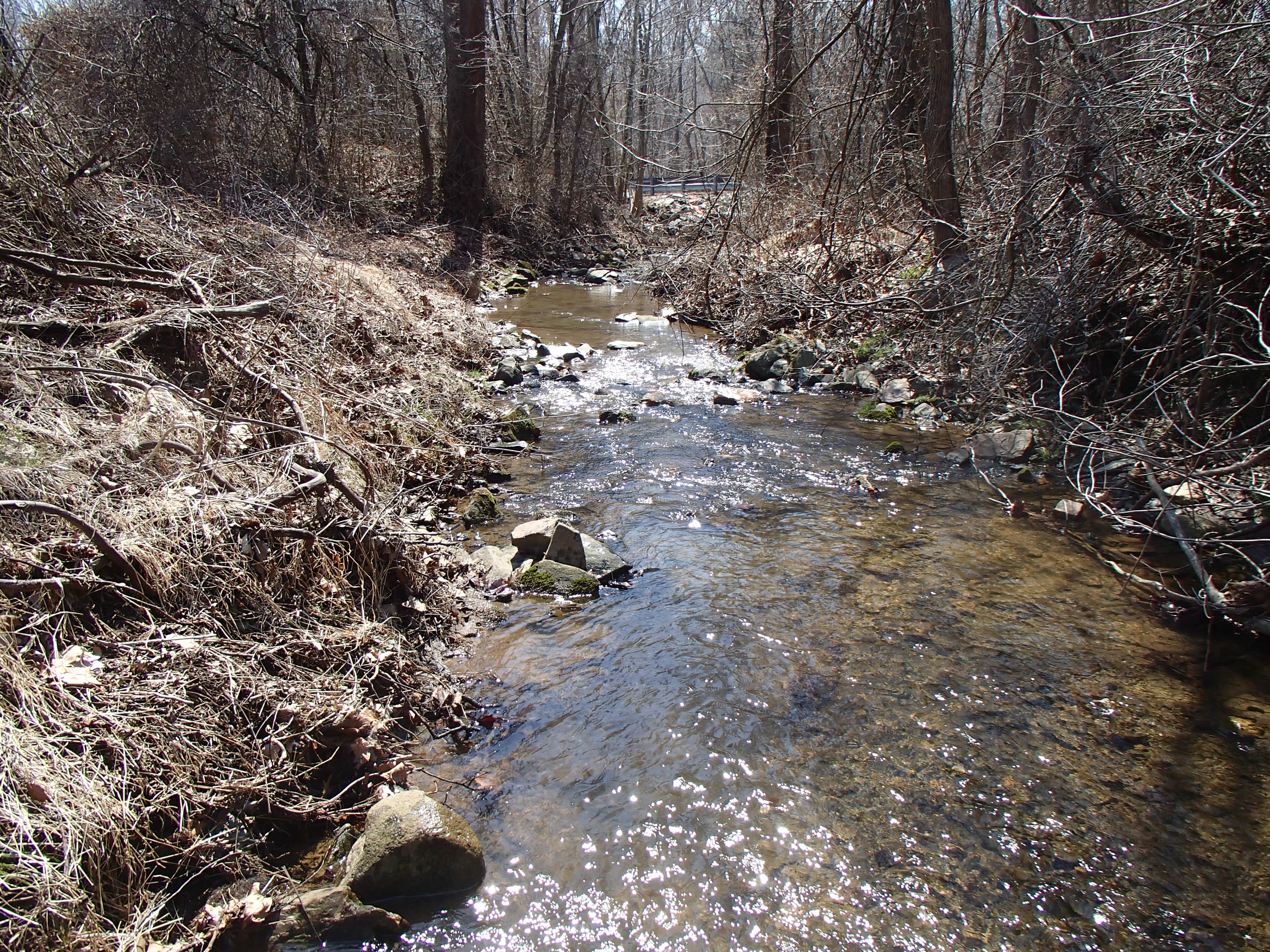 Field photo showing stream conditions at site OCTO-101-X-2015_Midpoint-downstream