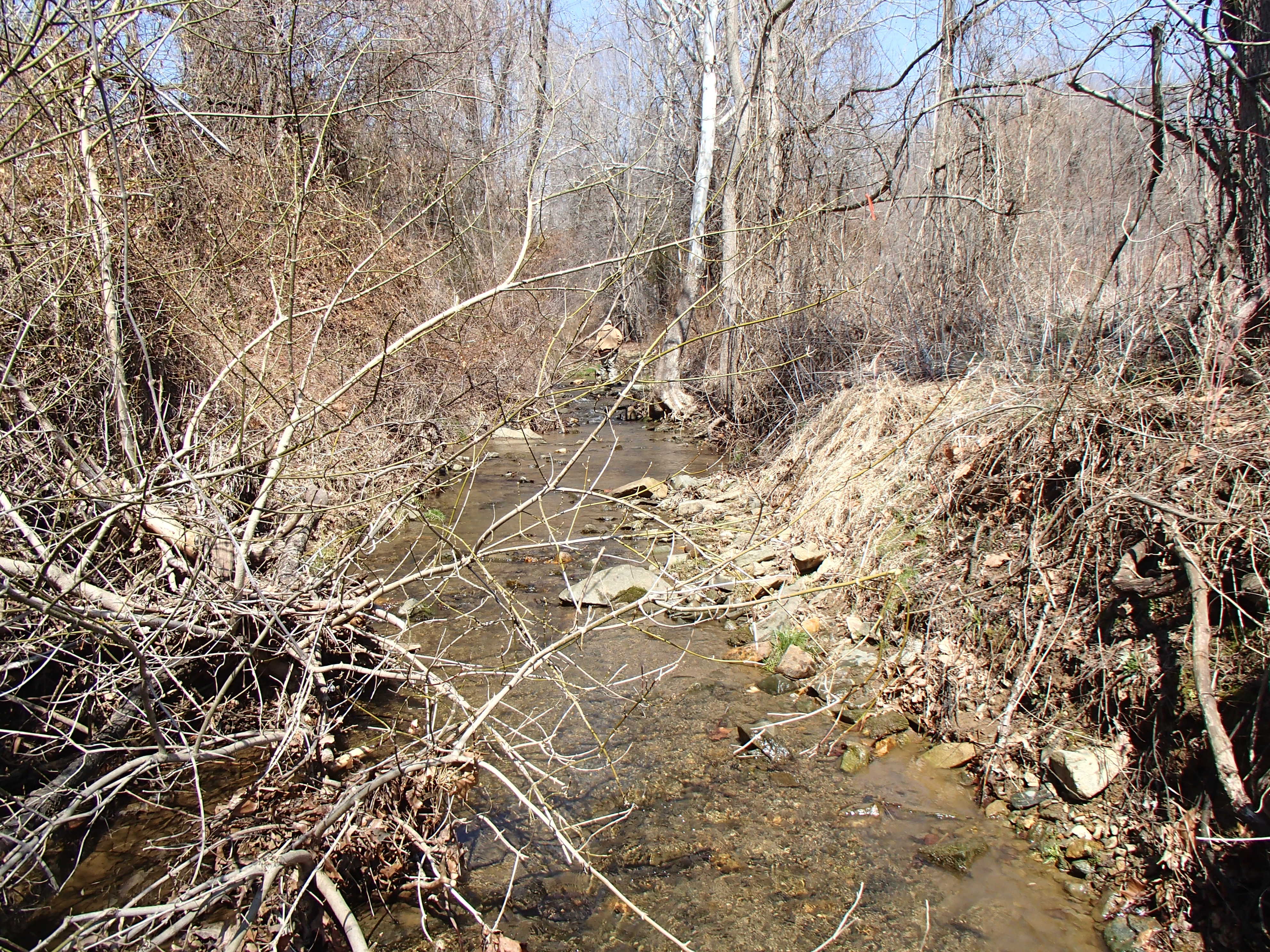 Field photo showing stream conditions at site OCTO-101-X-2015_Midpoint-upstream