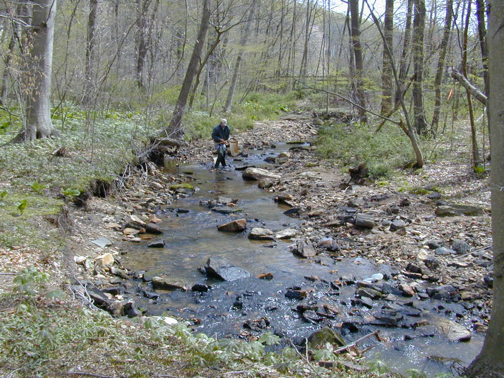 Field photo showing stream conditions at site OCTO-102-C-2000-01