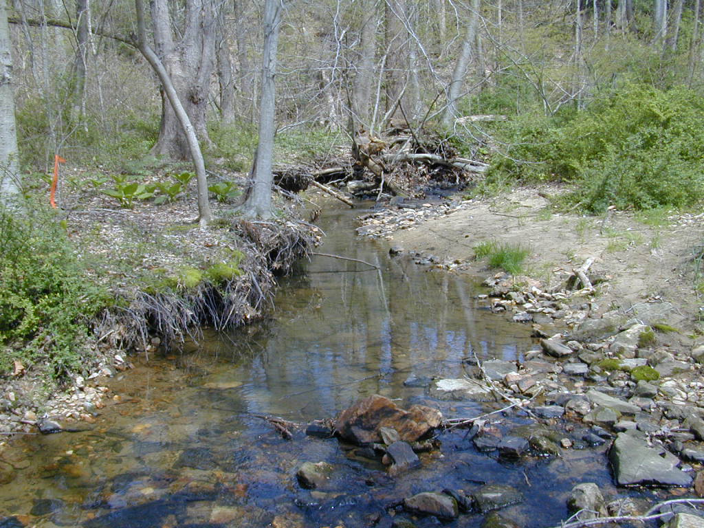 Field photo showing stream conditions at site OCTO-102-C-2000-02