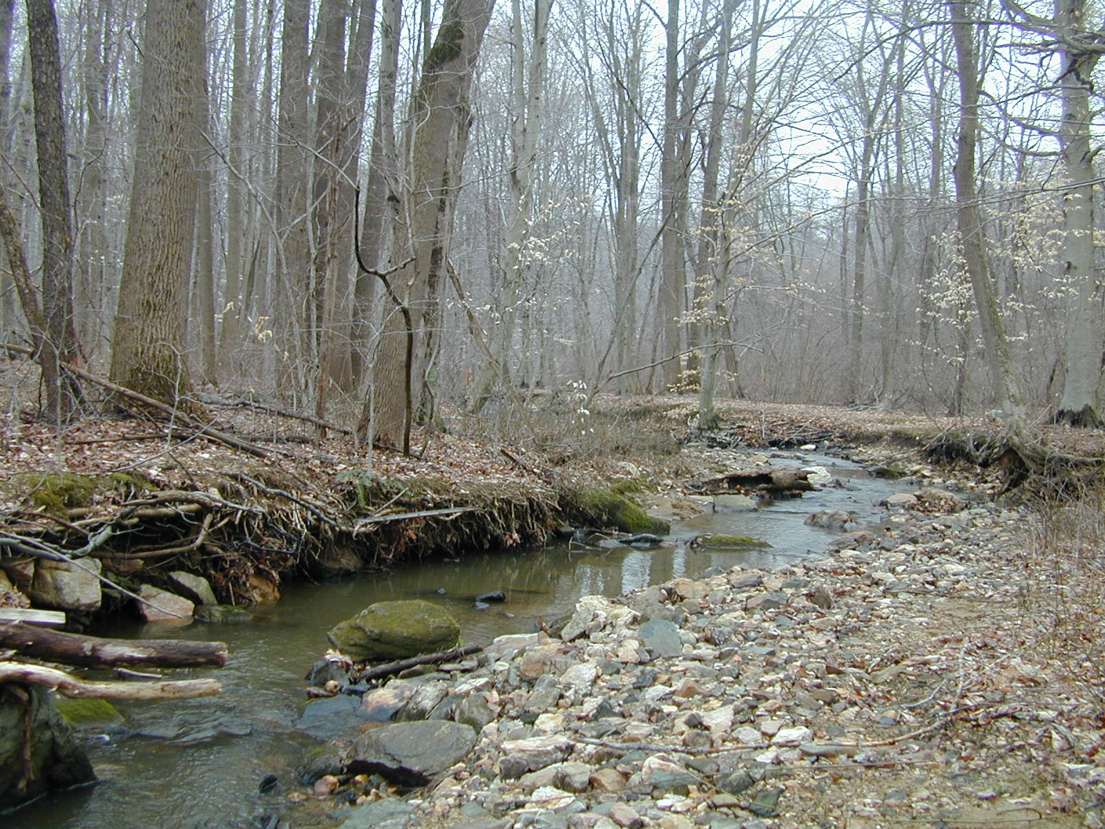 Field photo showing stream conditions at site OCTO-102-C-2001-1