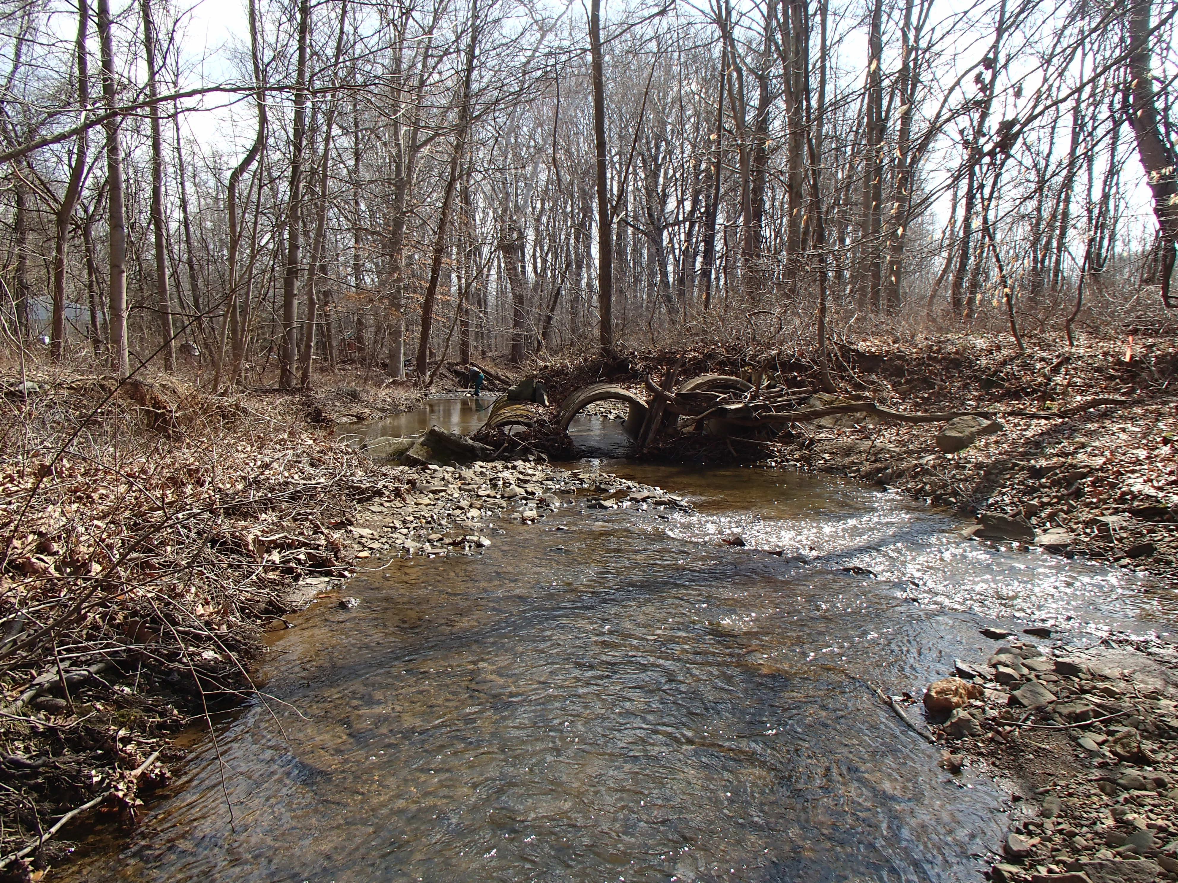 Field photo showing stream conditions at site OCTO-102-X-2015_Midpoint-downstream