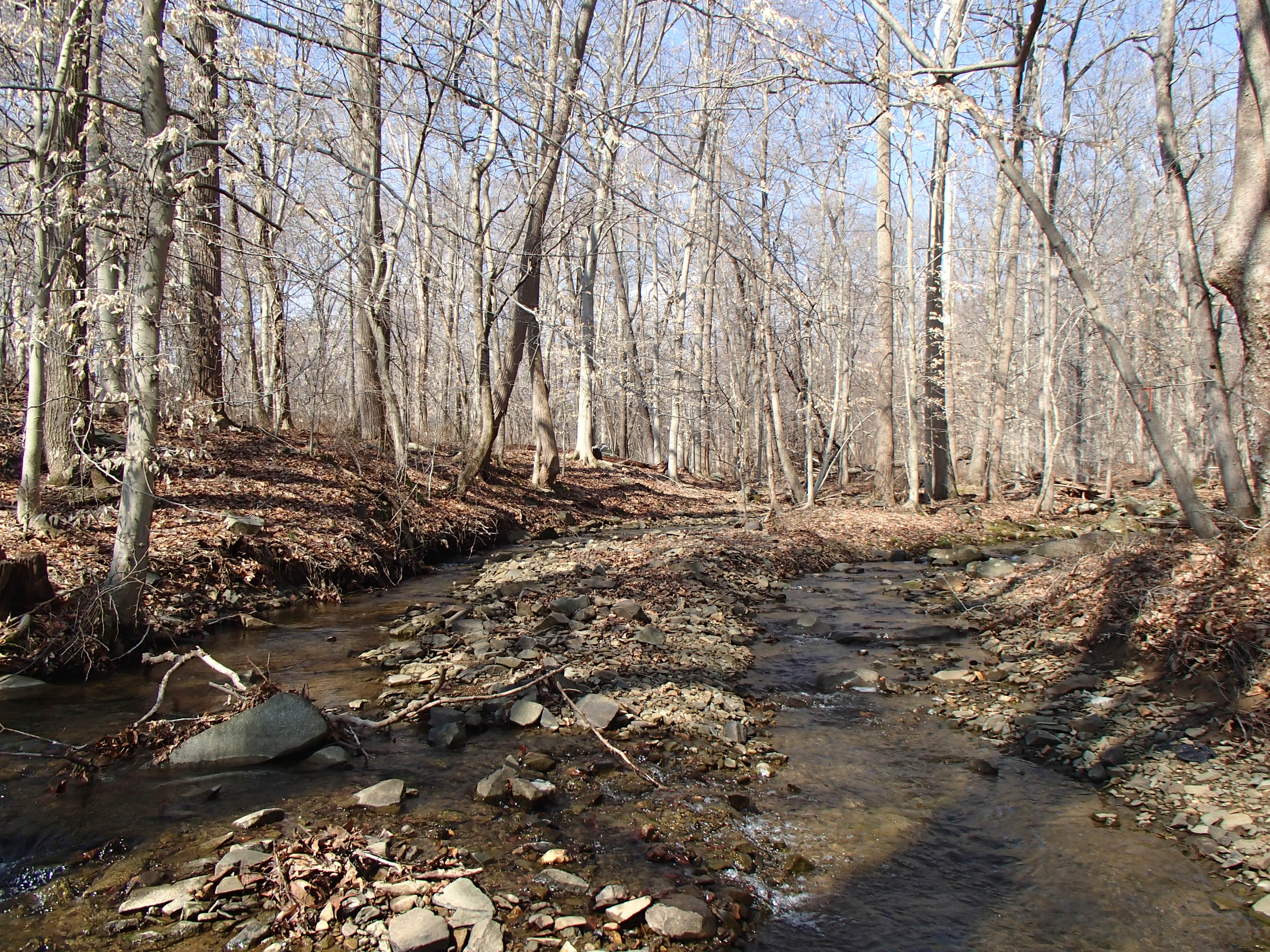 Field photo showing stream conditions at site OCTO-102-X-2015_Midpoint-upstream