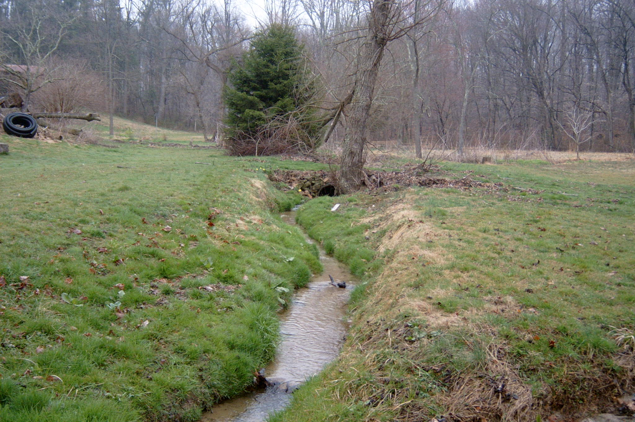 Field photo showing stream conditions at site OCTO-107-R-2004-90