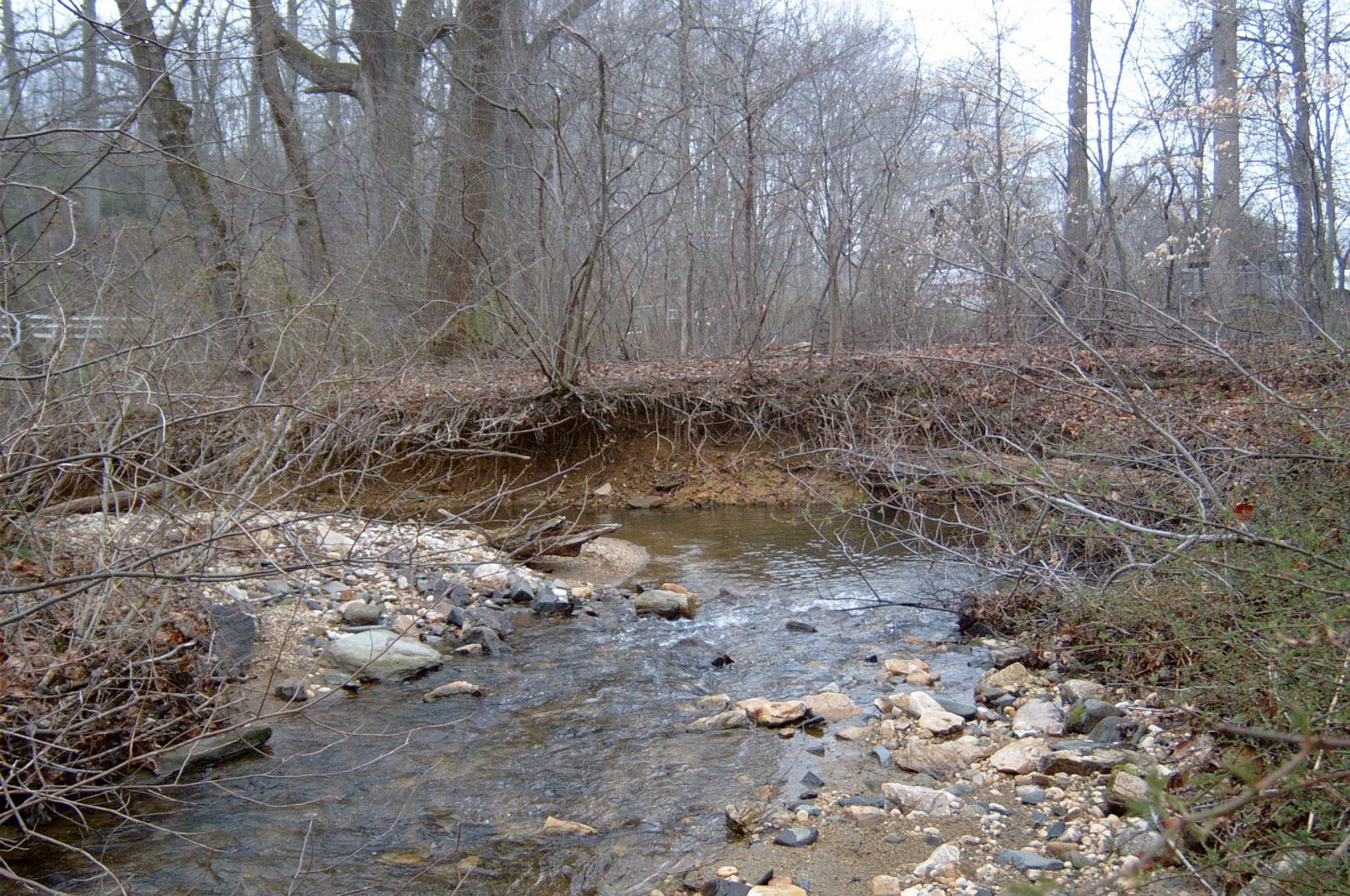 Field photo showing stream conditions at site OCTO-114-R-2004-92