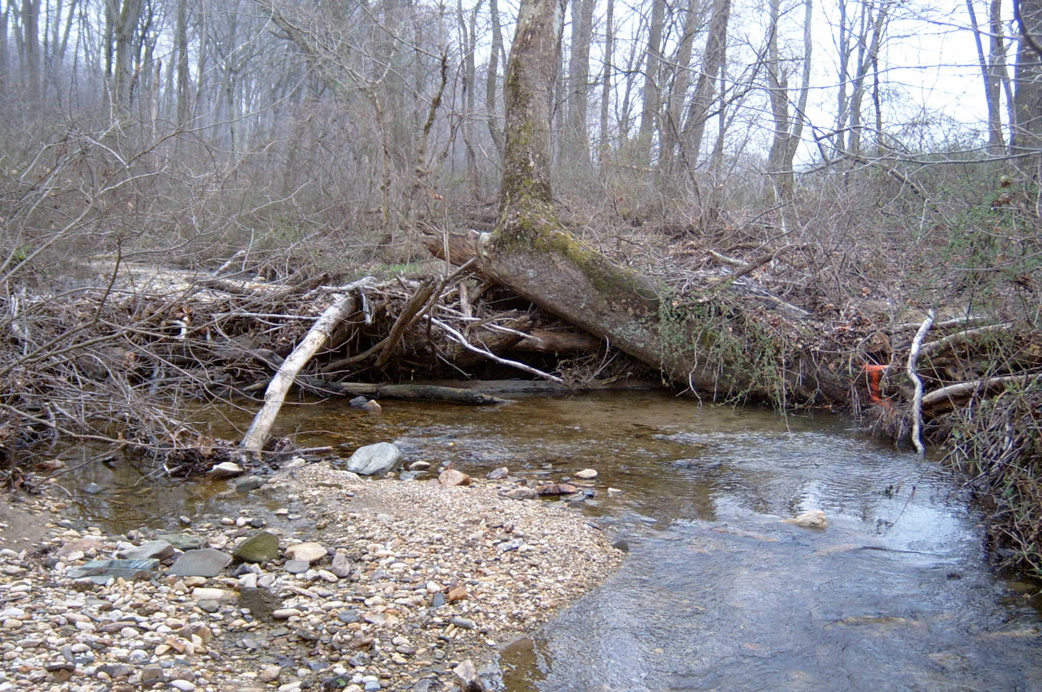 Field photo showing stream conditions at site OCTO-114-R-2004-93