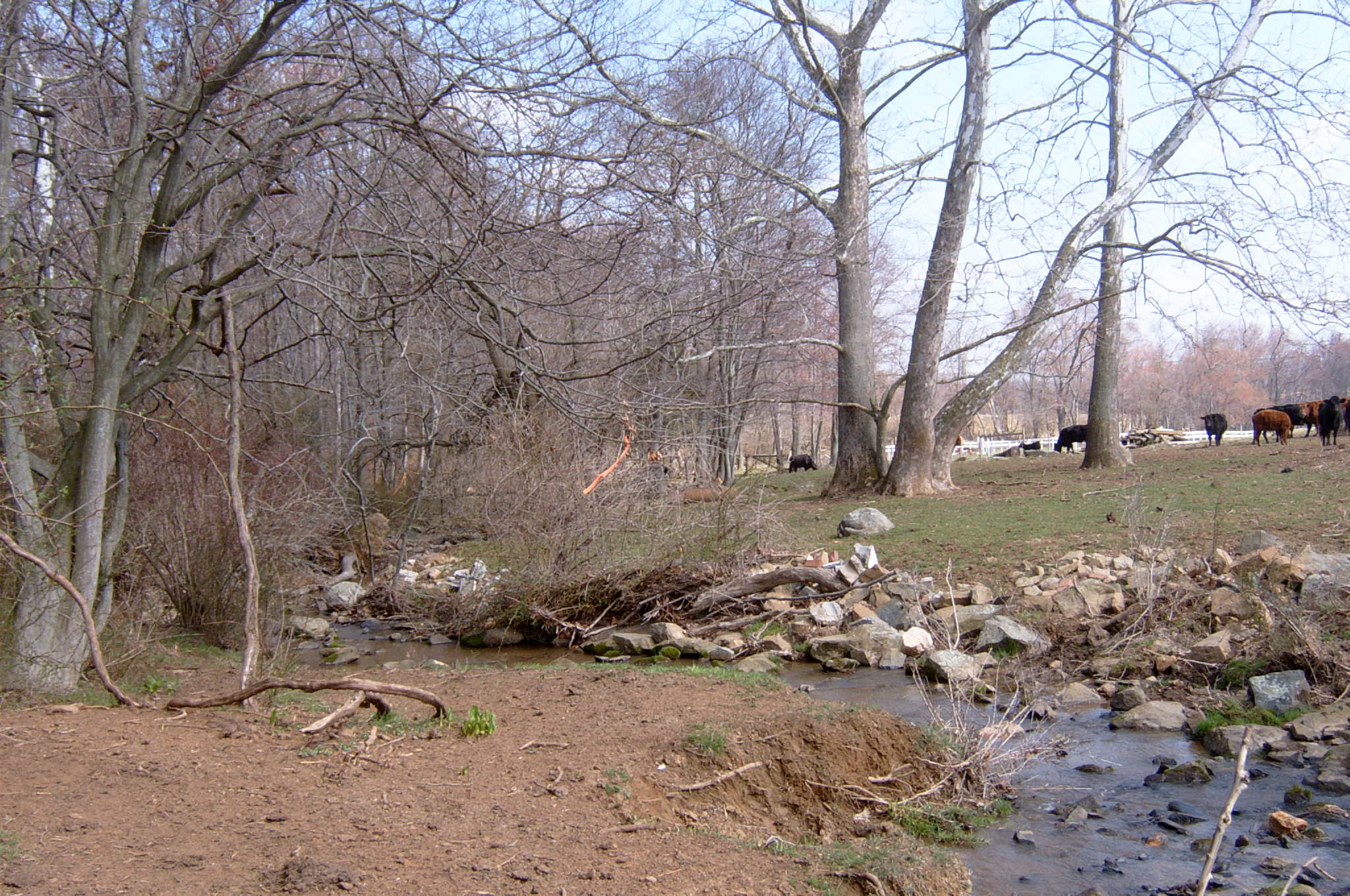 Field photo showing stream conditions at site OCTO-118-R-2004-68
