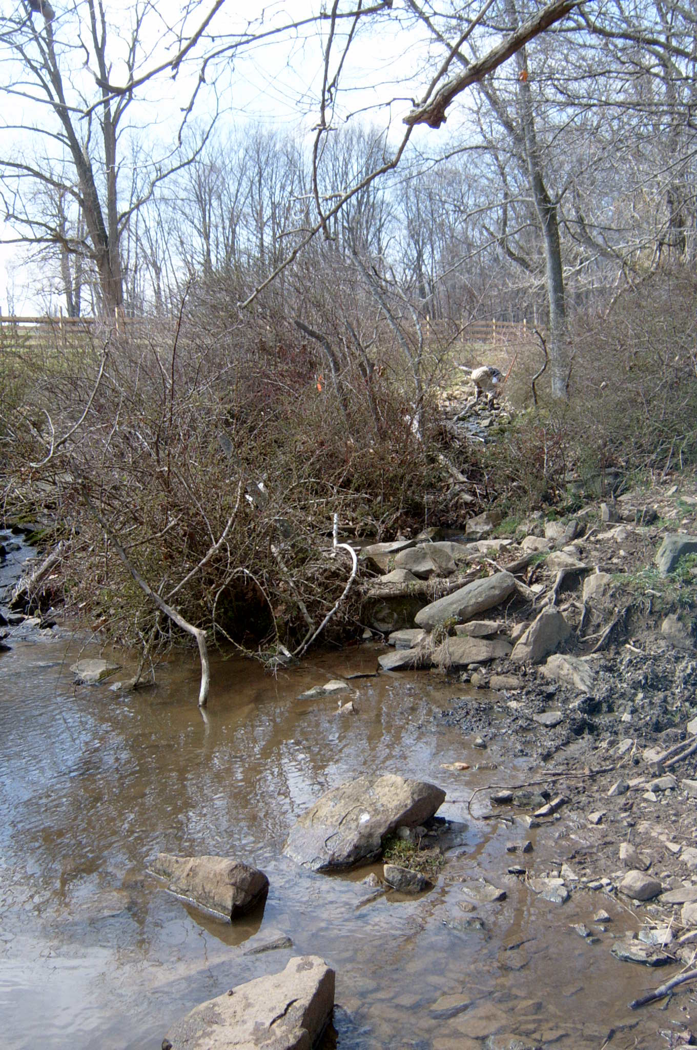 Field photo showing stream conditions at site OCTO-118-R-2004-69