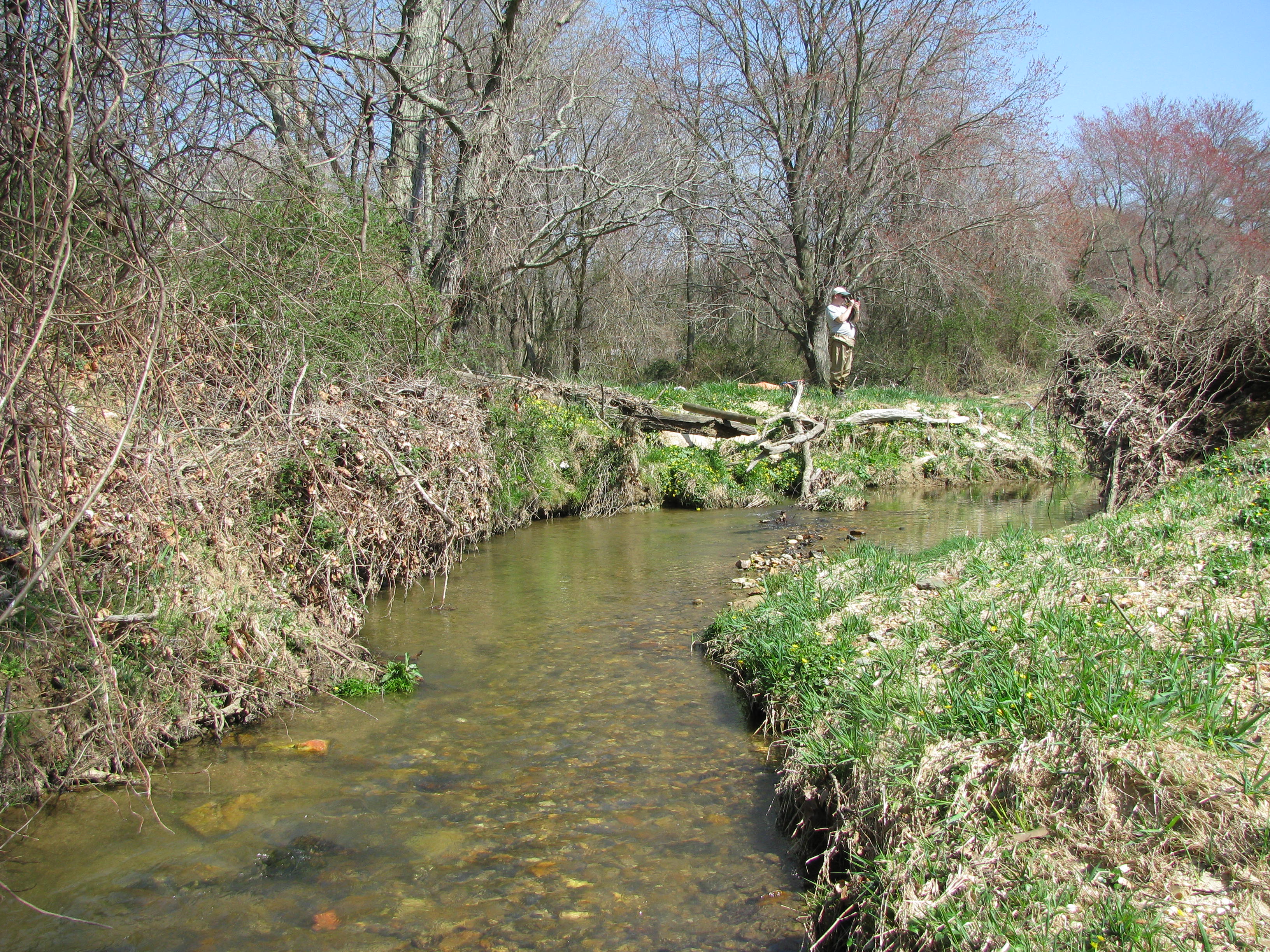Field photo showing stream conditions at site OCTO-201-A-2012-1
