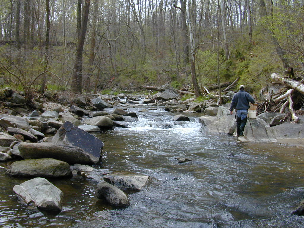 Field photo showing stream conditions at site OCTO-201-C-2000-01