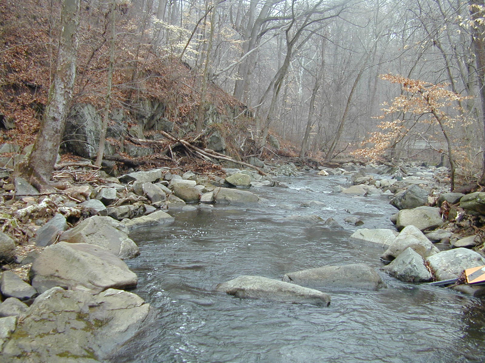 Field photo showing stream conditions at site OCTO-201-C-2001-1