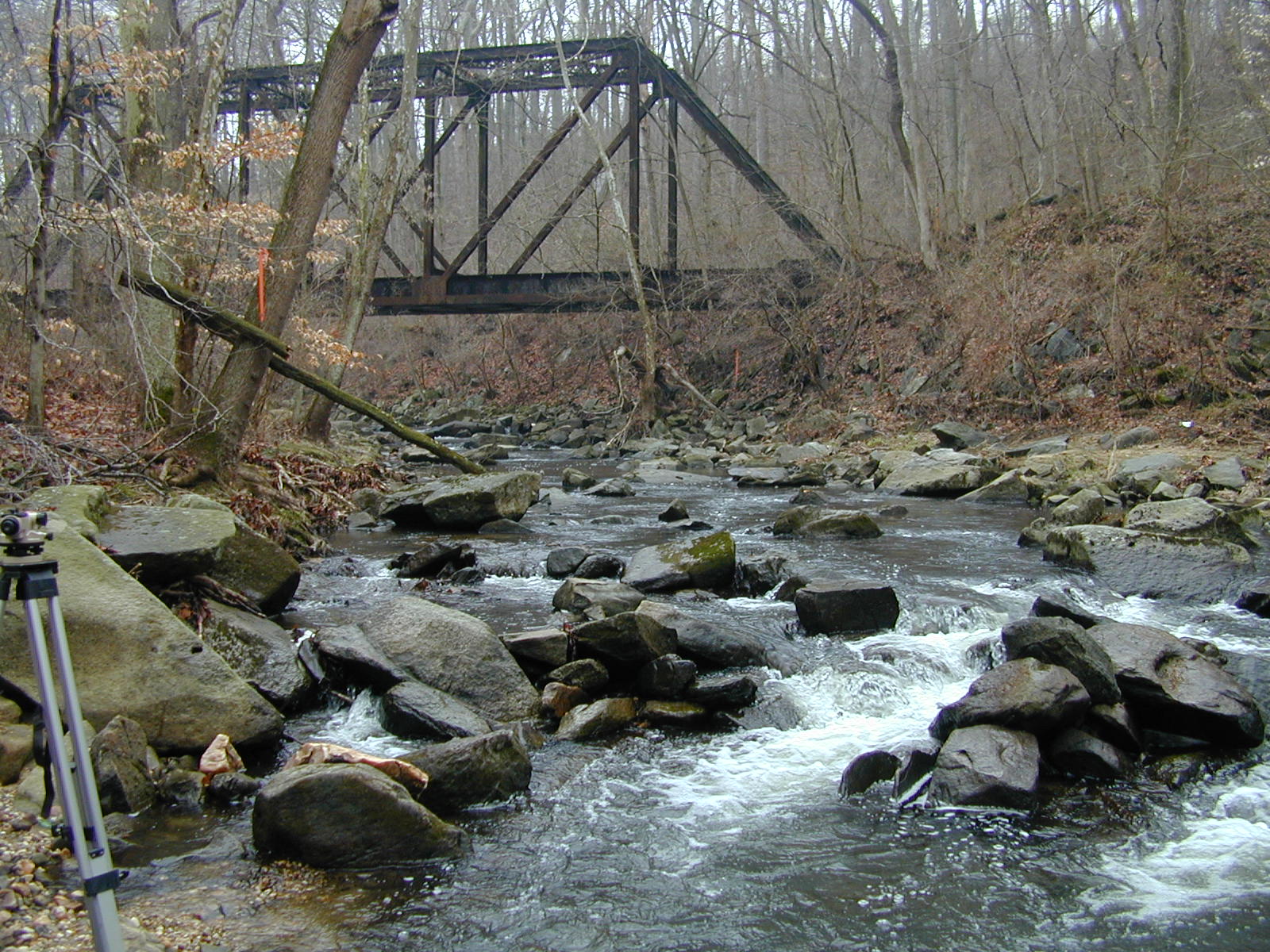 Field photo showing stream conditions at site OCTO-201-C-2001-2