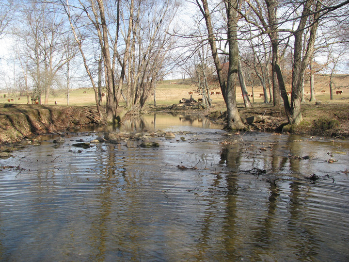 Field photo showing stream conditions at site OCTO-212-R-2009-1